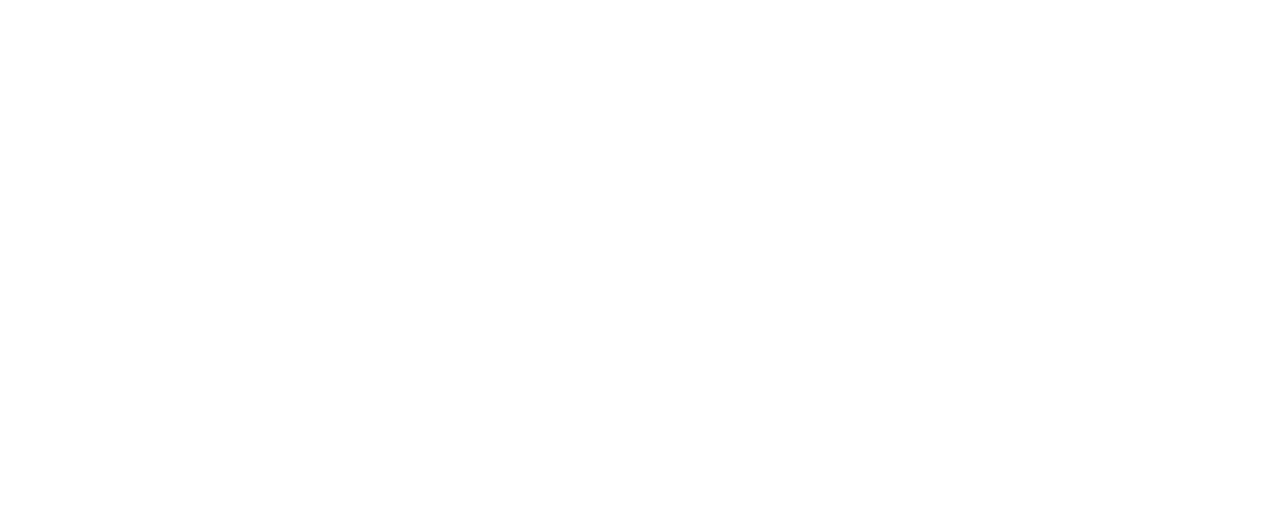 Logo in de footer